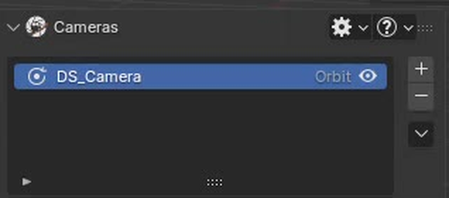 DSM camera manager