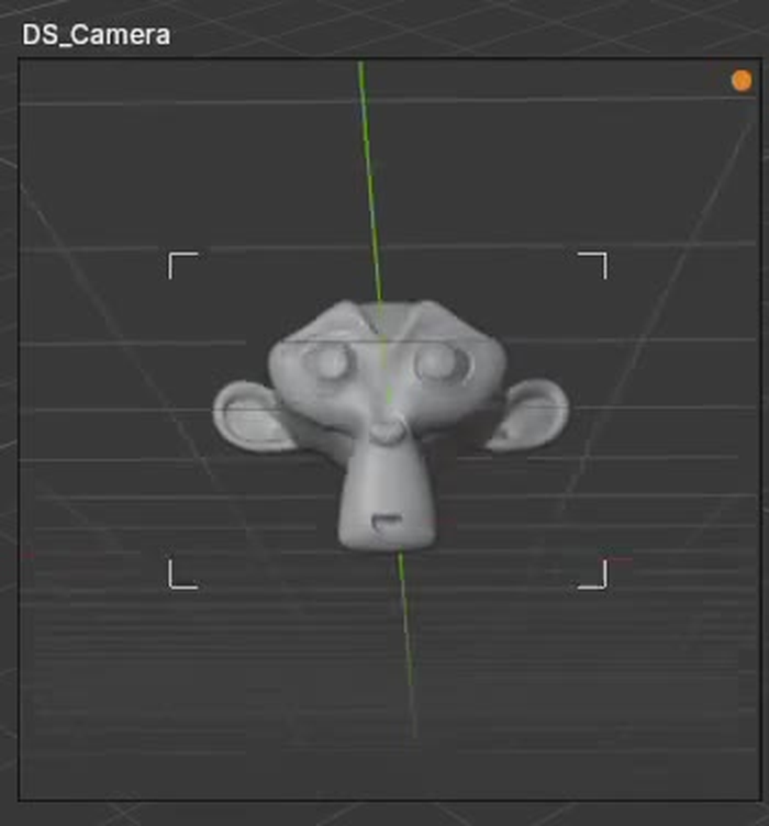 DSM PiP camera preview